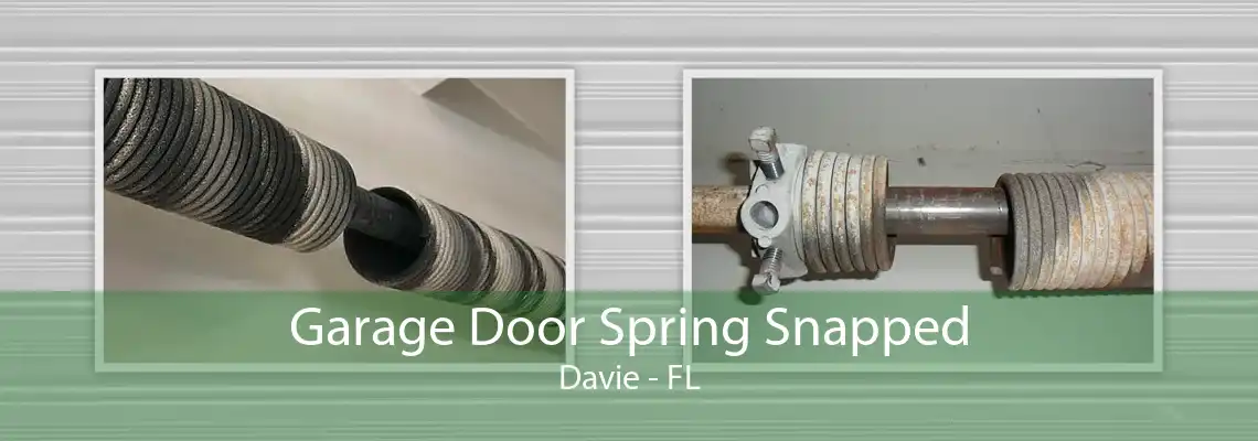 Garage Door Spring Snapped Davie - FL